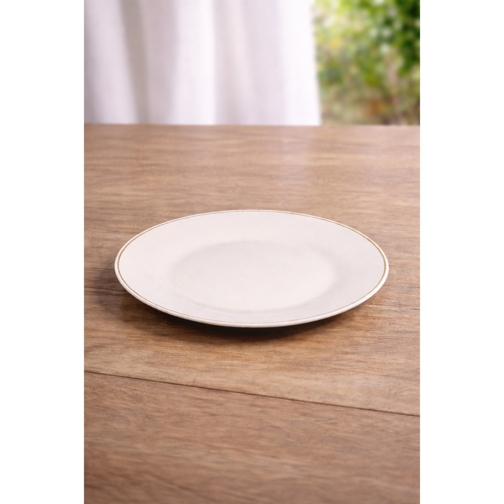 Royal Norfolk White Dinner Plate 10 Inch Gold Rim Hand Wash Only